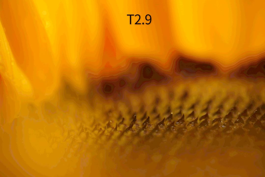 老蛙100mmf2.8微距的使用方法,老蛙100mm微距镜头实用测评