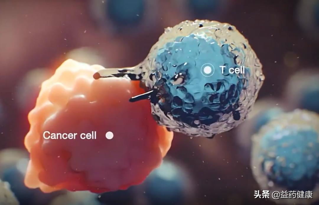 发现肿瘤后需要注意的问题,肿瘤化疗可以根治肿瘤吗