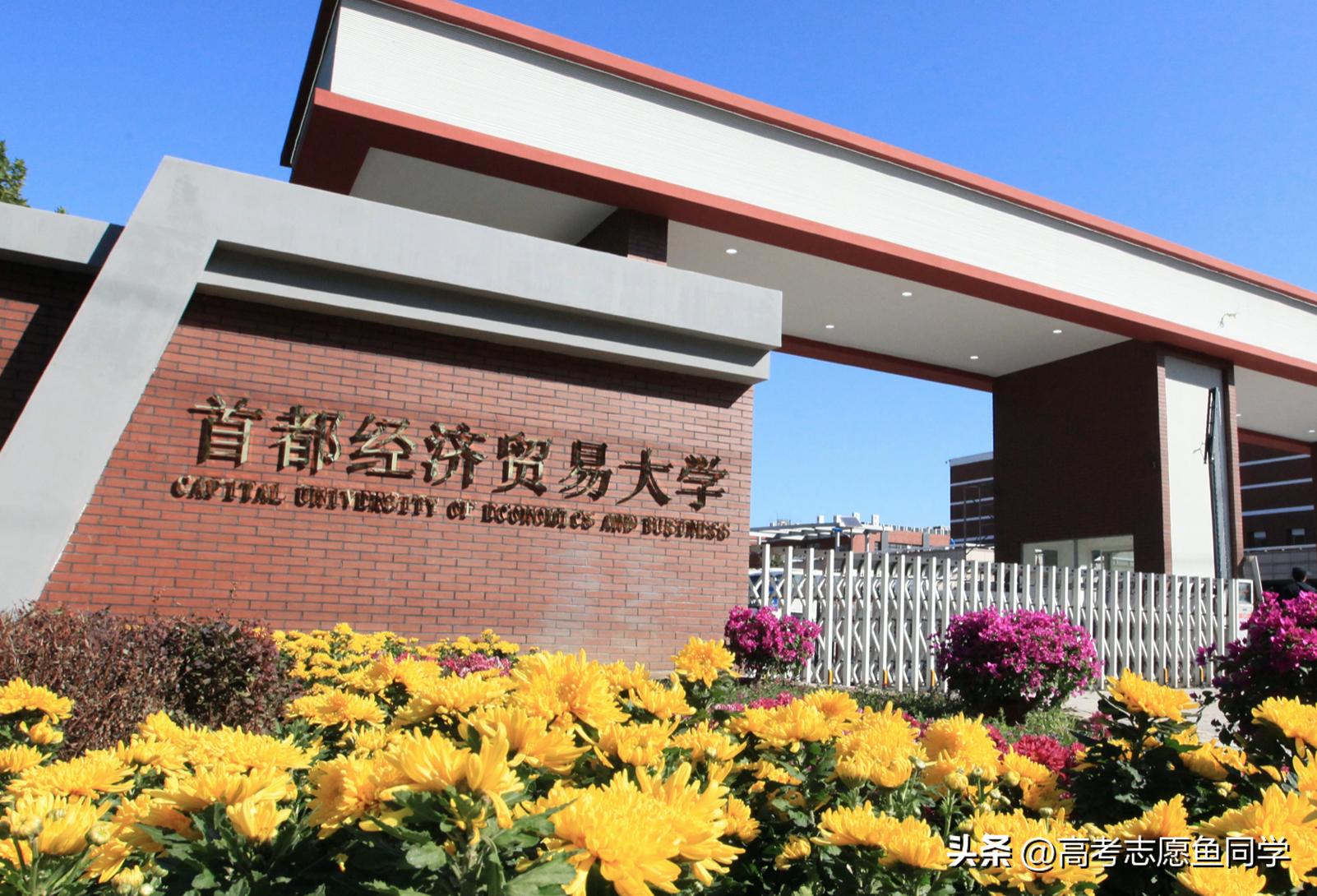 国内八大财经学校,8所实力很强的大学不是985211