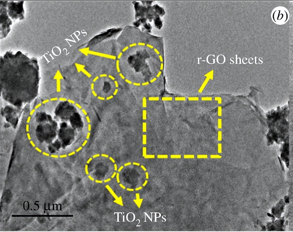 石墨烯杀菌原理,氧化石墨烯纳米粒子
