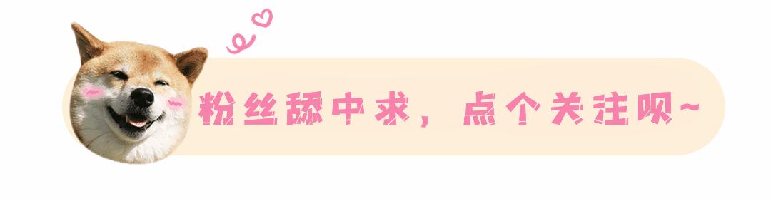 长帝厨师机发酵,揉面厨师机什么牌子的好