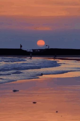 盘点那些过气网红的现状,2020年已经过气的网红