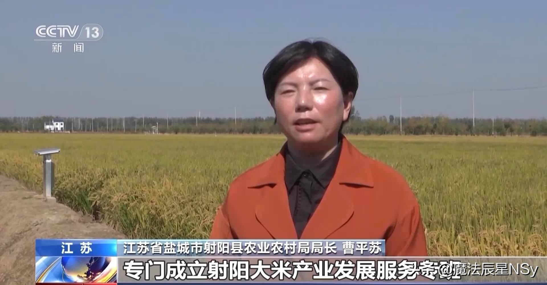 好粮大米,好粮好料出好酒