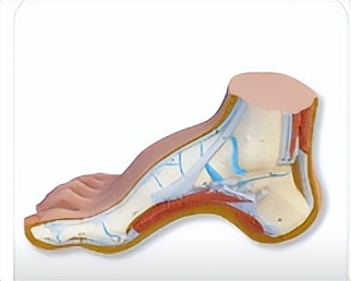 感应器鞋垫,鞋垫薄膜压力传感器