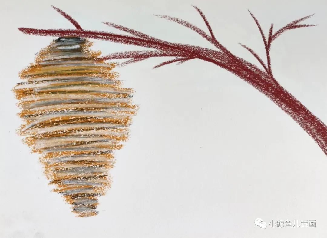 蜜蜂采蜜回家全过程,蜜蜂采蜜回家的样子