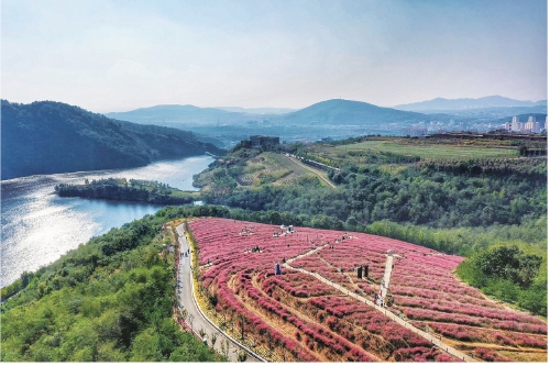宜居优美村庄,宜居乡村美如画图片