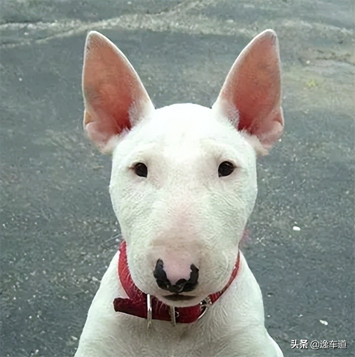 买领克06二手车靠谱吗,领克06二手车主有质保吗