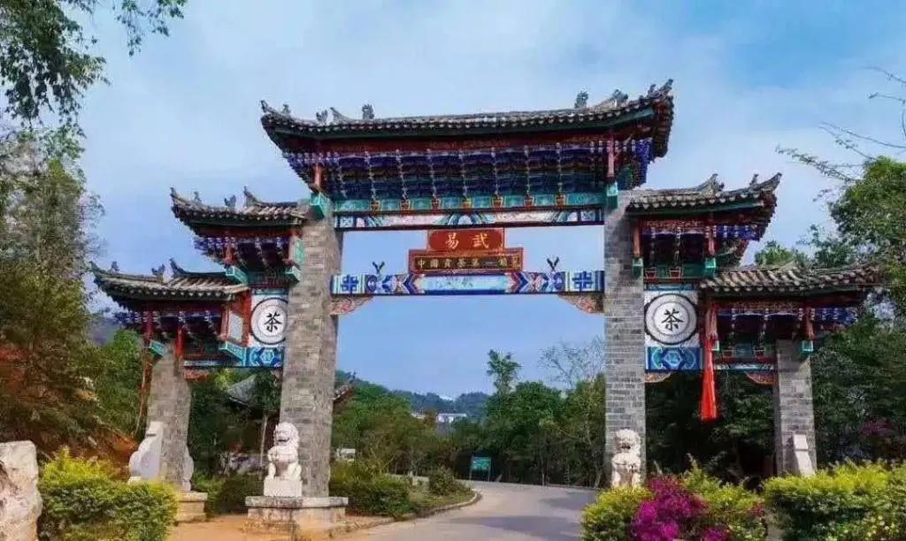 易武茶特点苦涩轻甜,普洱茶易武茶的特点