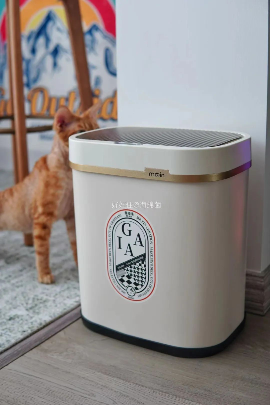 幸福感倍增的好物推荐,幸福感暴增的居家好物推荐