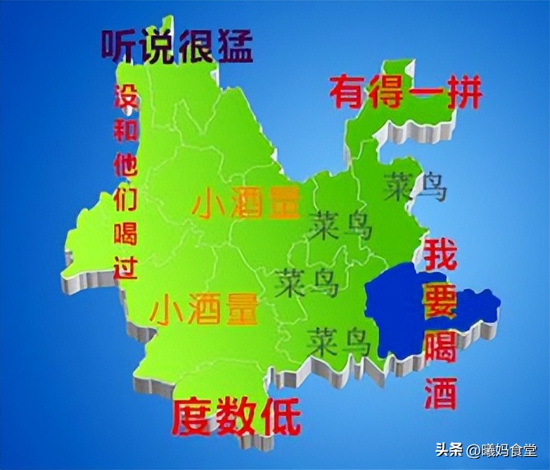 云南十六州市眼里的云南地图,云南人眼中的云南各地方