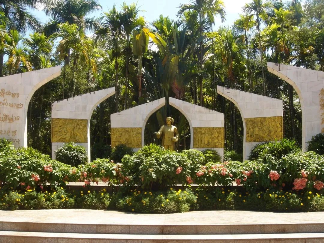 西双版纳七天六夜攻略,西双版纳五天六夜之旅完美结束