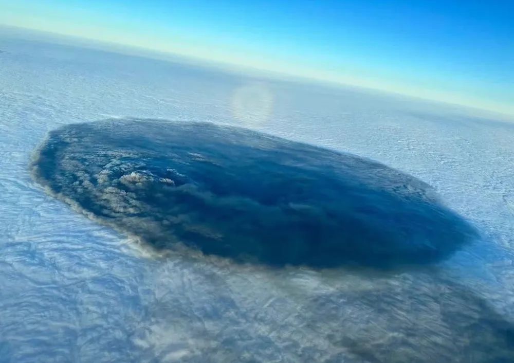 氯乙烯泄漏对猫粮的影响,美国聚乙烯泄漏对猫粮有影响么