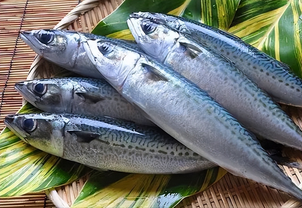 他坚称乌克兰可以“指望我们”