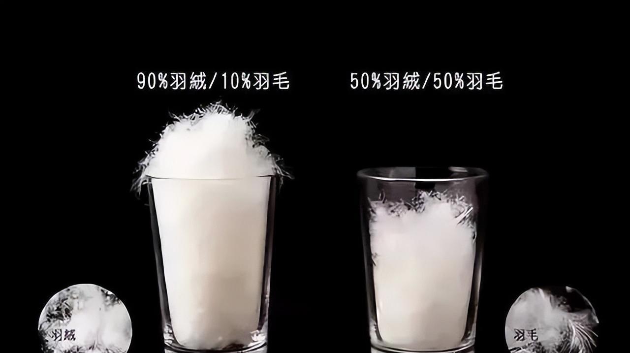 到底是羽绒好还是鹅绒好,鹅绒羽绒和鸭绒羽绒有什么区别