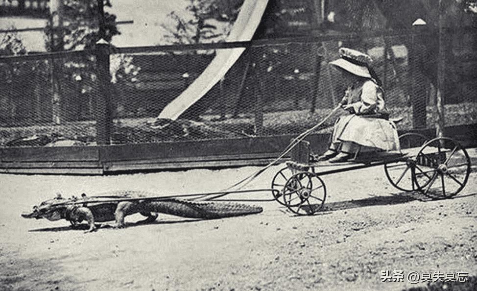 纳粹老照片15张,纳粹老照片犹太妇女