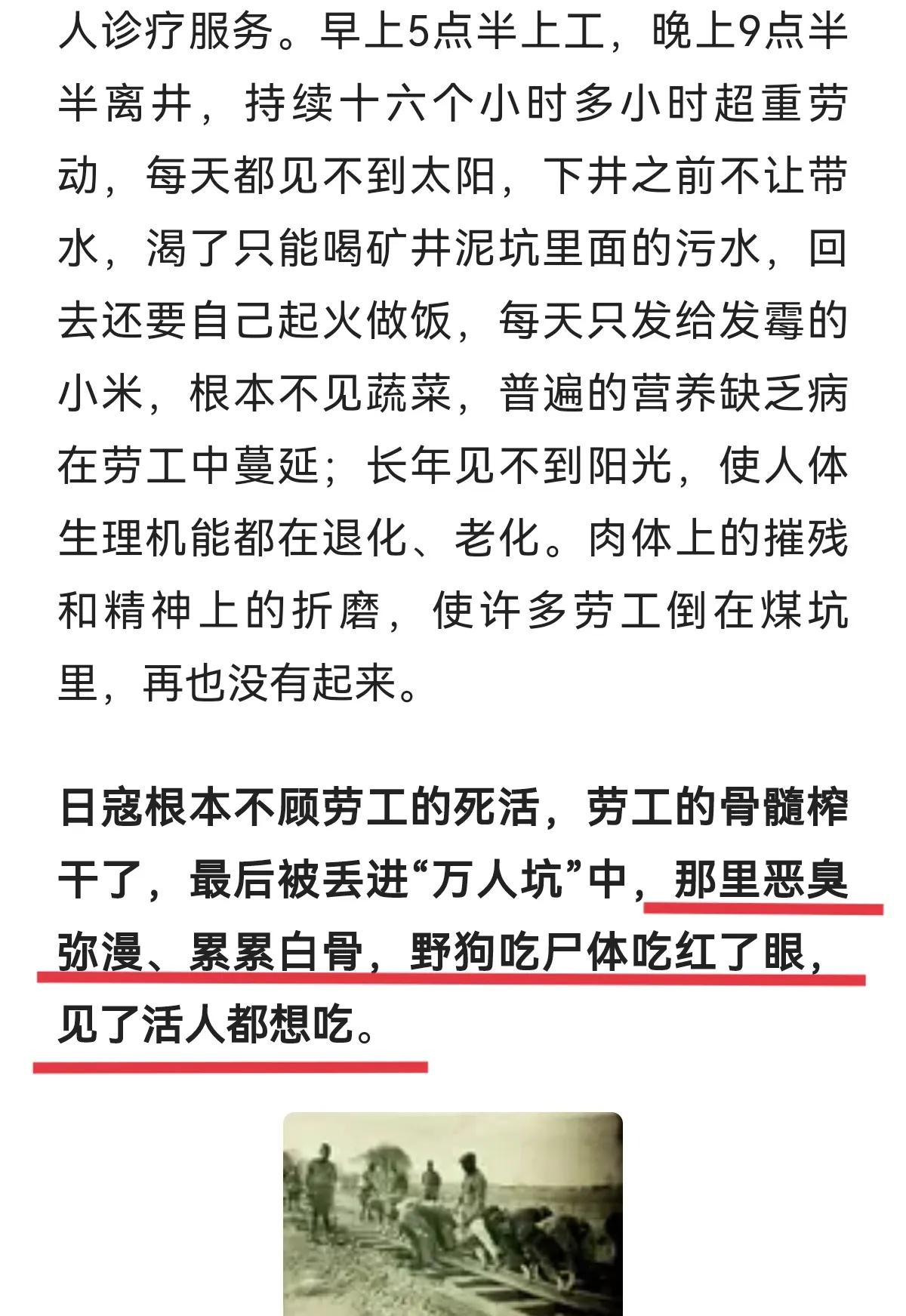 狗是人类的朋友,这是我听过的最冷的笑话