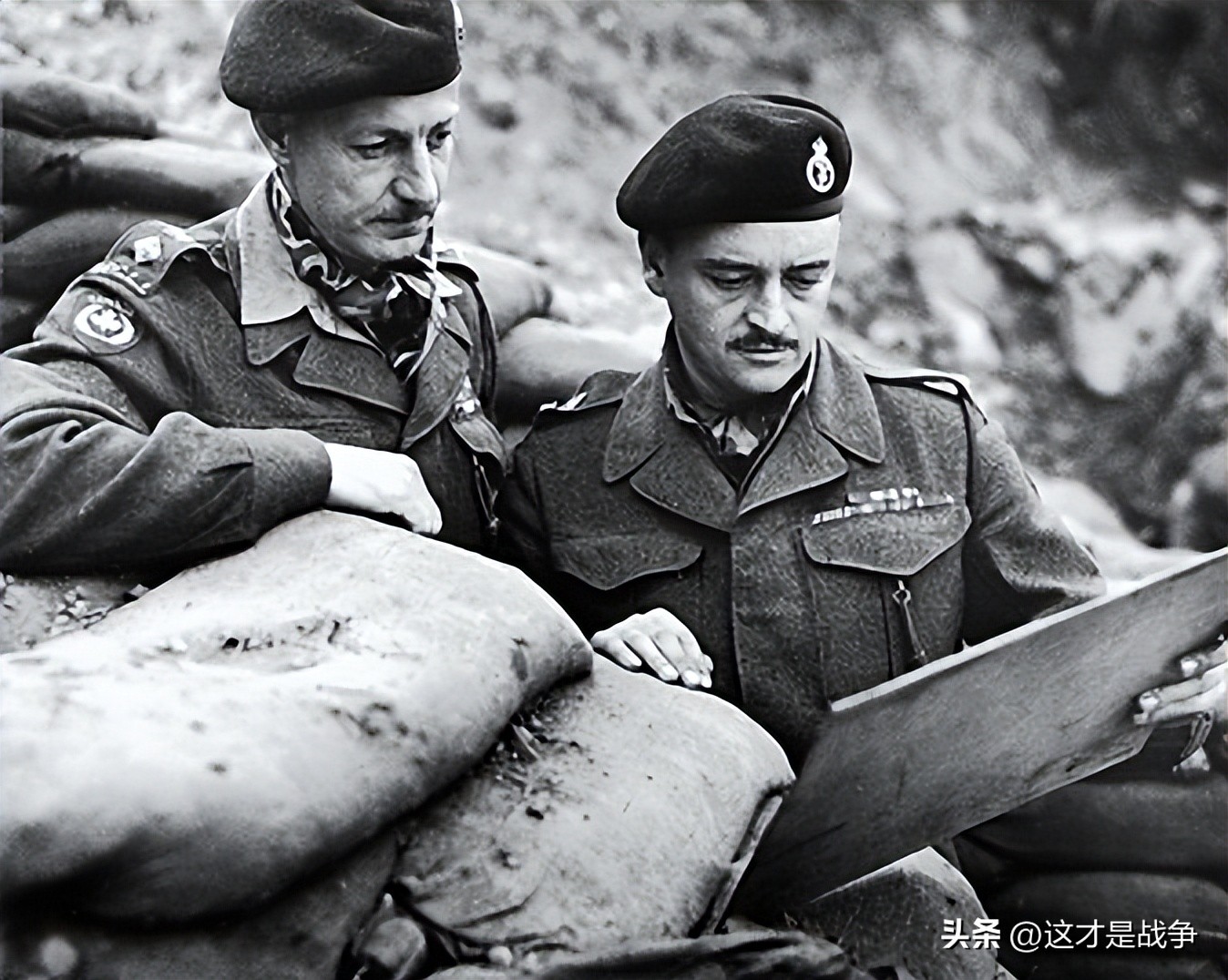 一个奇葩的国家完整版,一个奇葩的国家