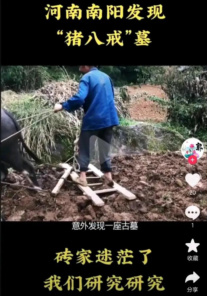 南阳市发展劣势,南阳的城市发展状况