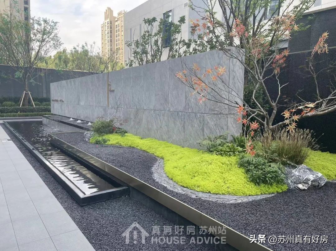 逢开必罄！中签率不超11%！实探神盘永旺西的真实面貌