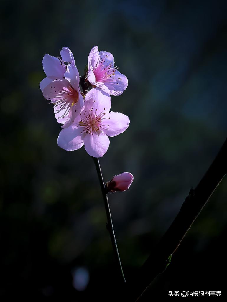 拍照如何确保对焦准确,拍照时对焦很难对上