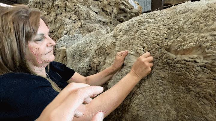 乌拉圭女老板出口羊皮，做成UGG价格翻100倍，成本才2美金