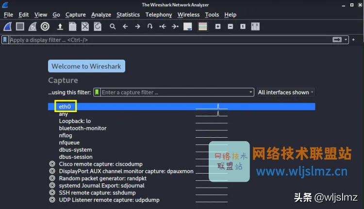 使用wireshark捕获ping数据包,使用wireshark捕获一个ip数据包