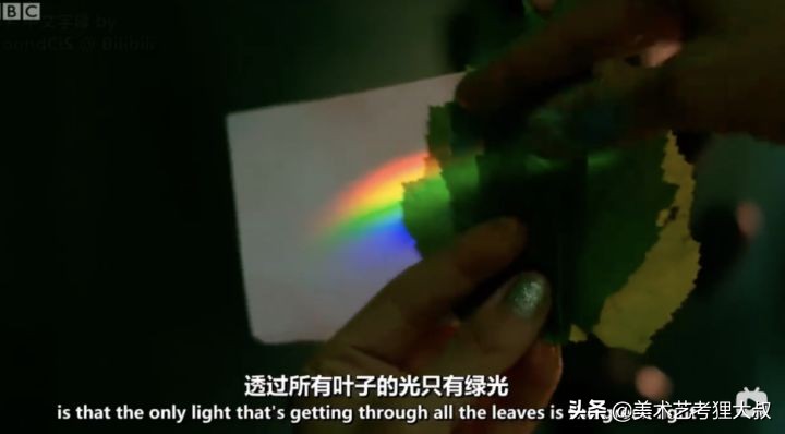 9岁学画画零基础入门,孩子0基础学画画先学什么