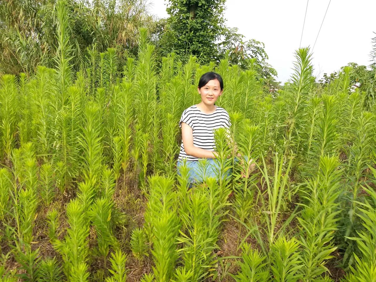 儿时大庙的那些年那些事儿,236