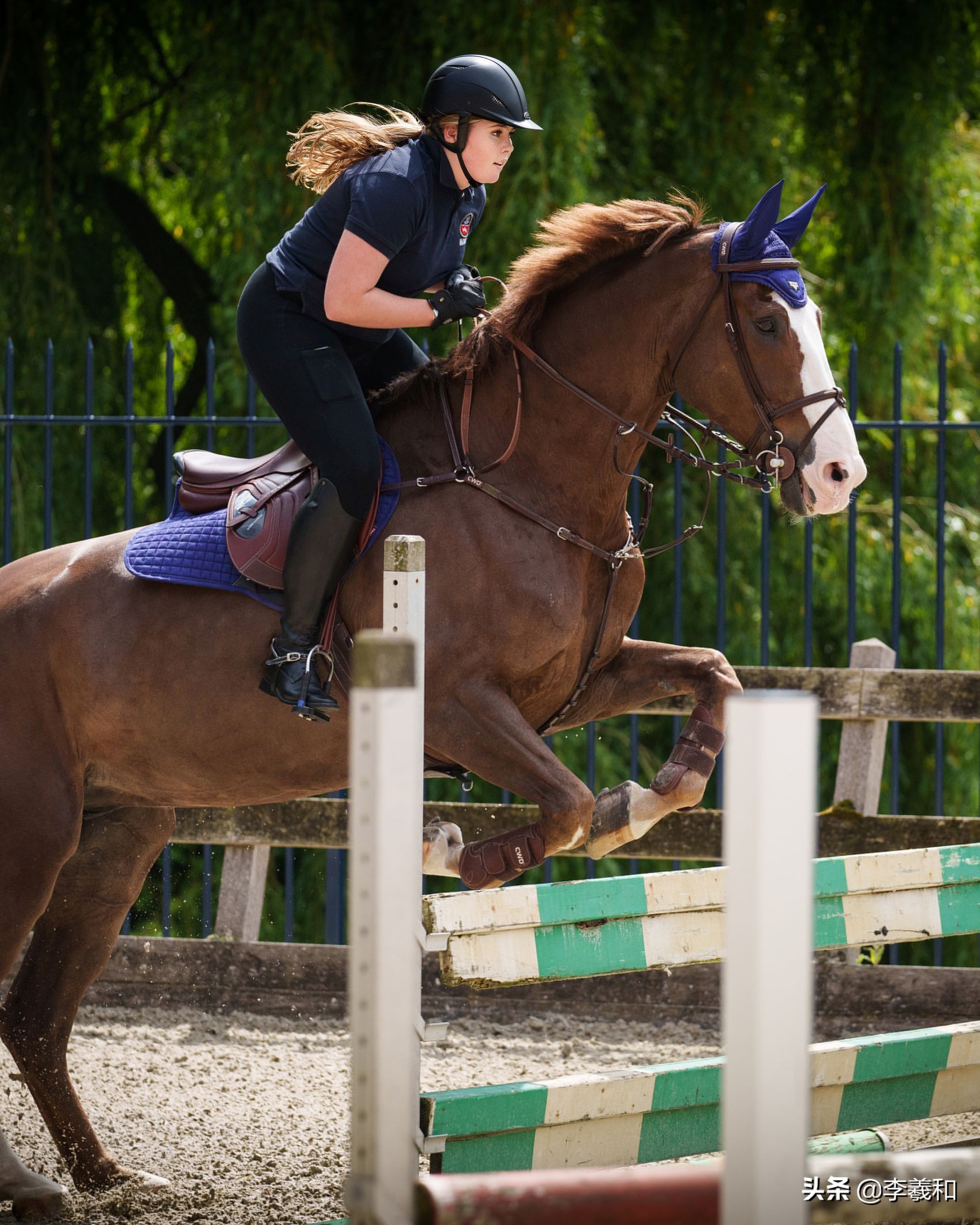 迷你而奇特！带你深入了解荷兰，一个神奇的国度