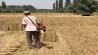 背负式割草机使用方法图解教程,背负式割草机如何割的高度整齐