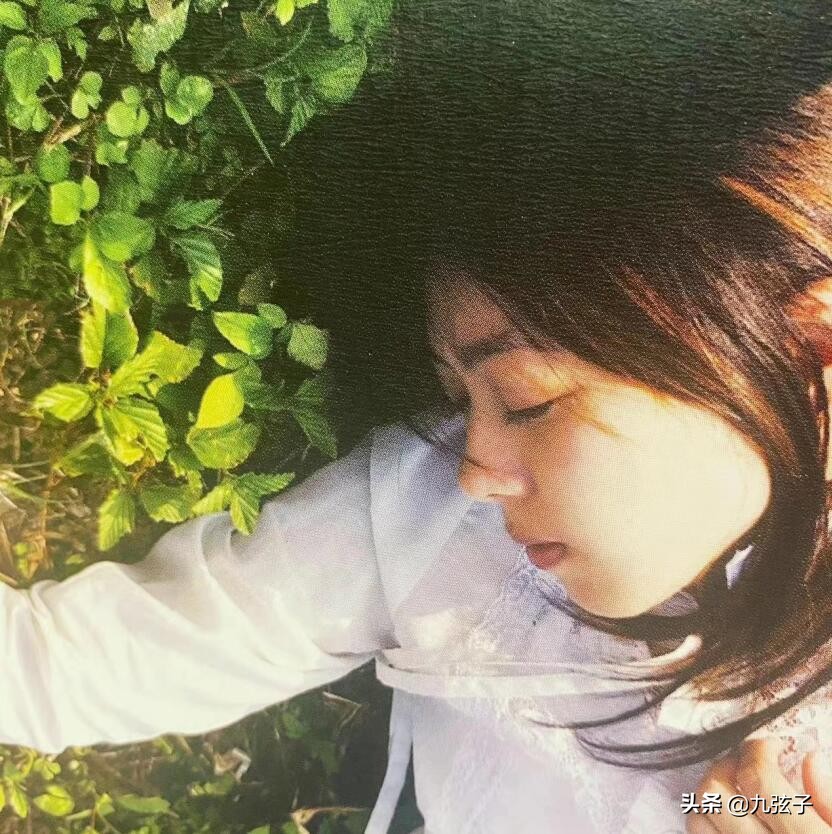 为何既招红，也招黑？“人间烟火”陈绮贞的固执与坚持