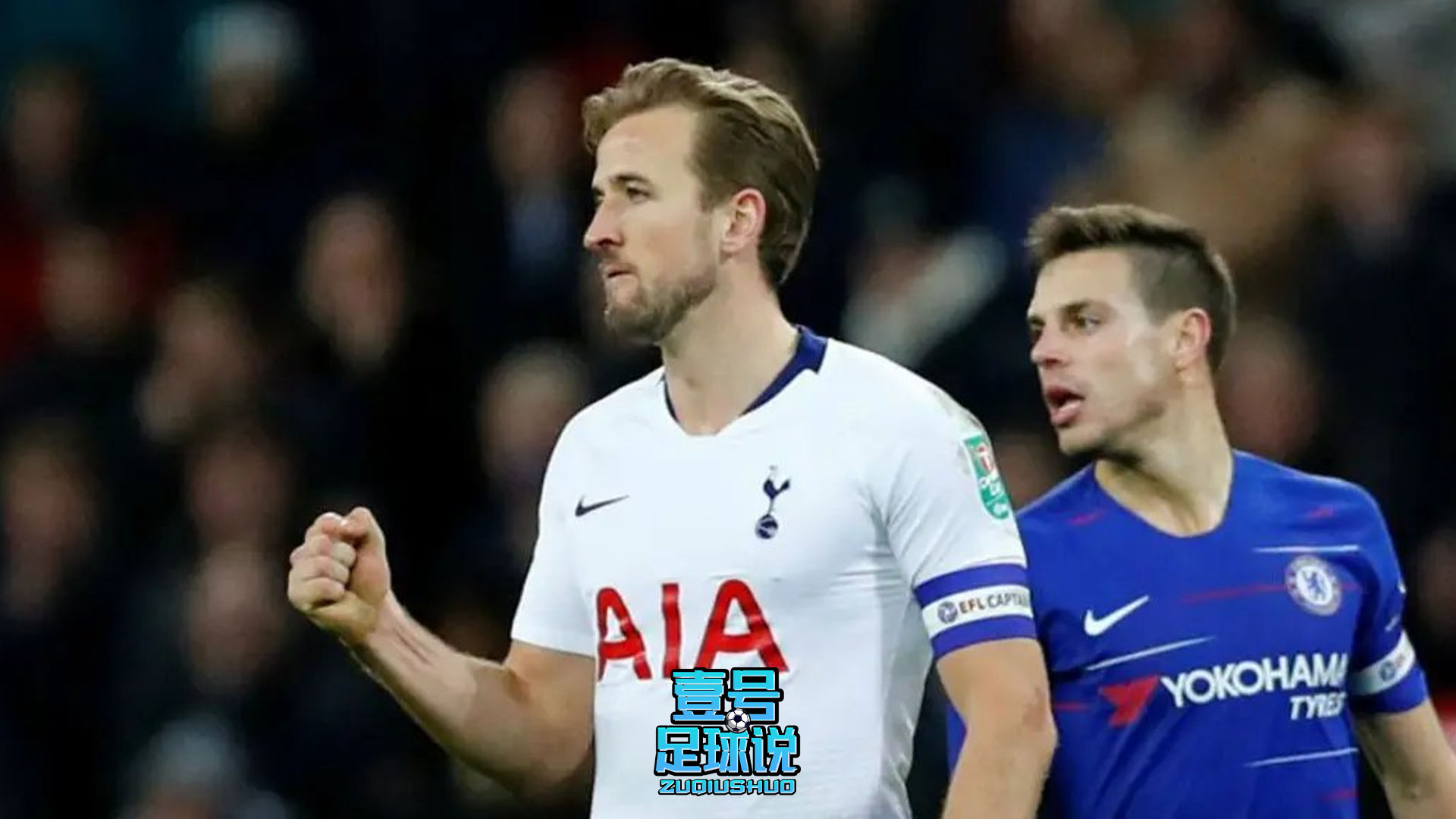 金靴奖凯恩,凯恩进球费迪南德