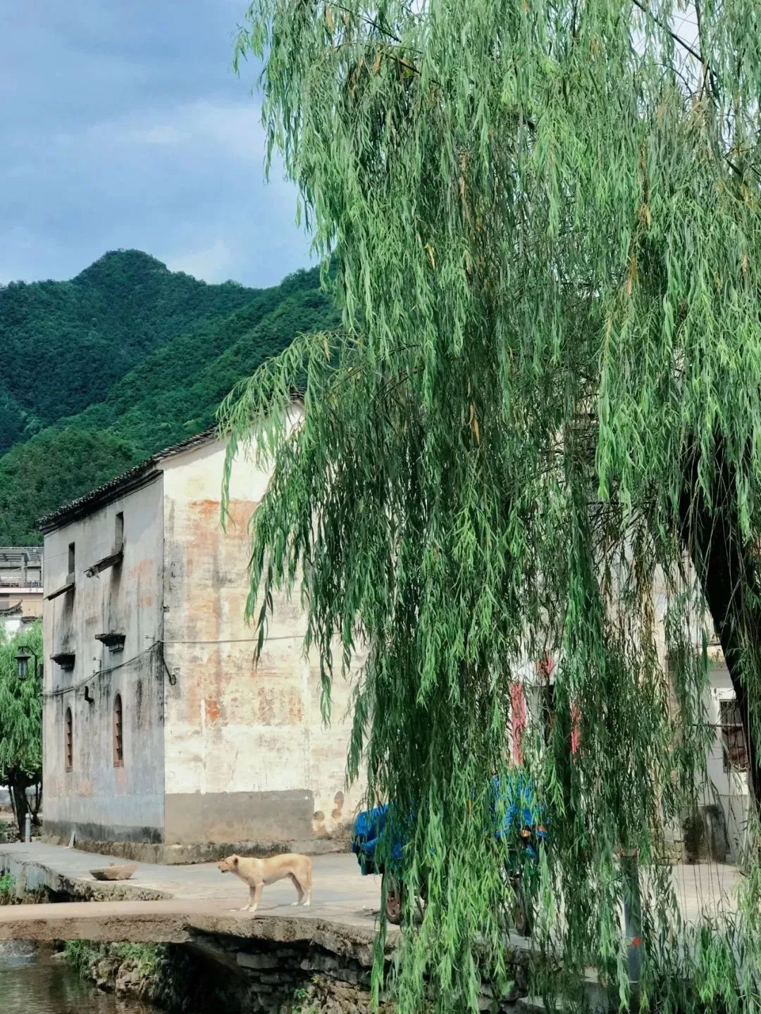 clubmed海南亲子游价格,亚布力clubmed亲子攻略