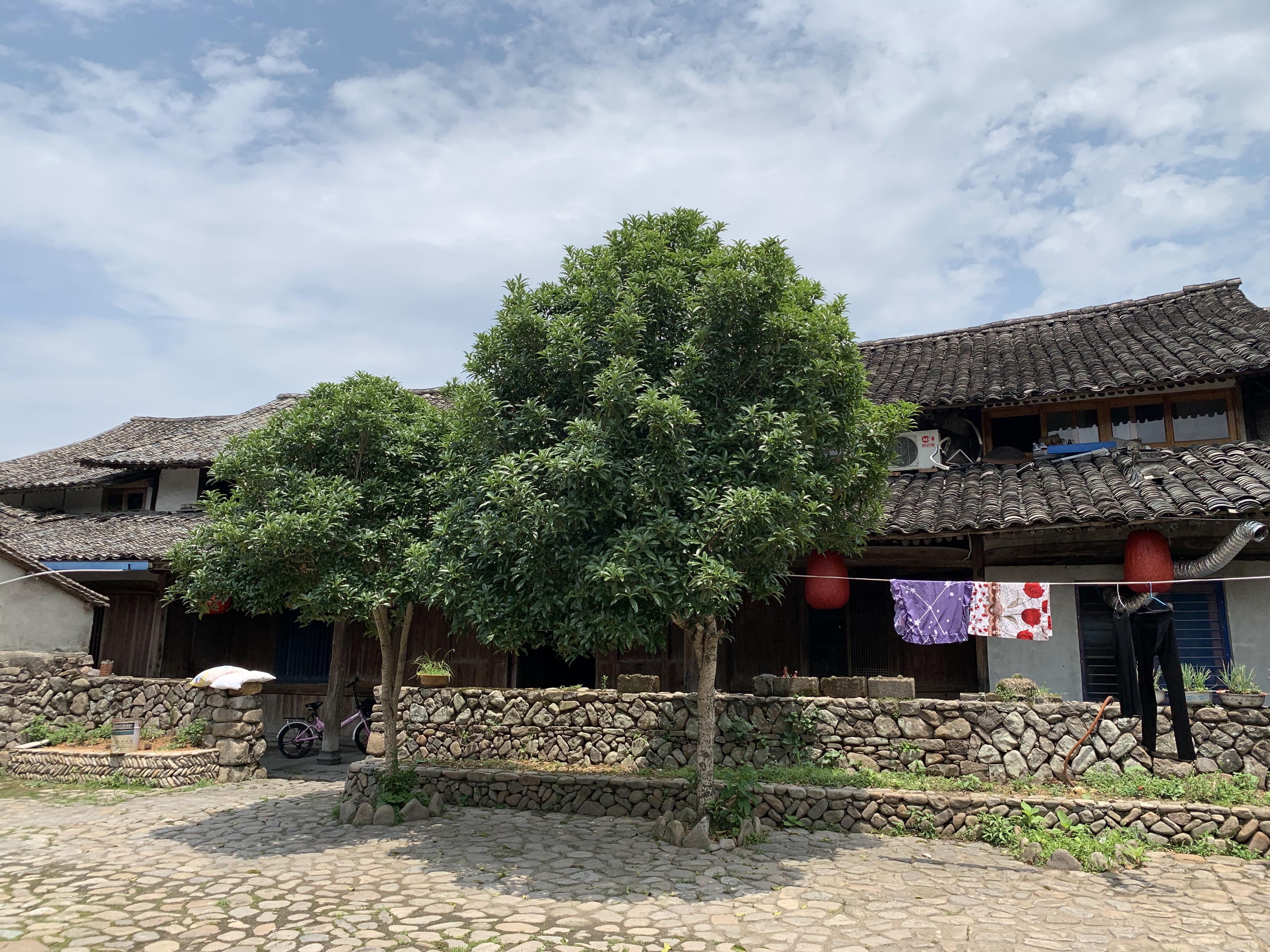 楠溪江芙蓉古村景区视频,楠溪江芙蓉村景区