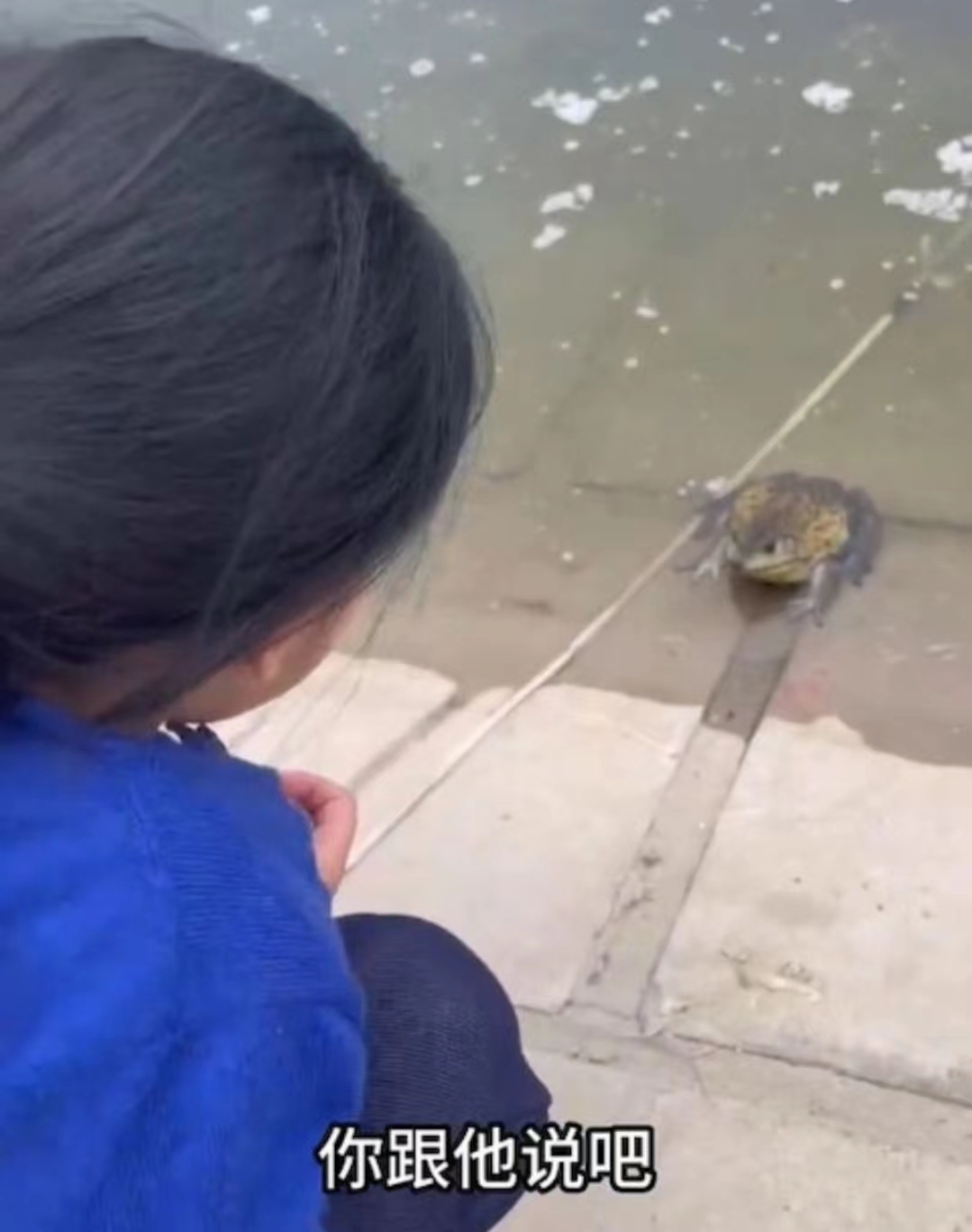 好心做坏事！TVB前女星带女儿郊外大量放生牛蛙，被网友批没常识