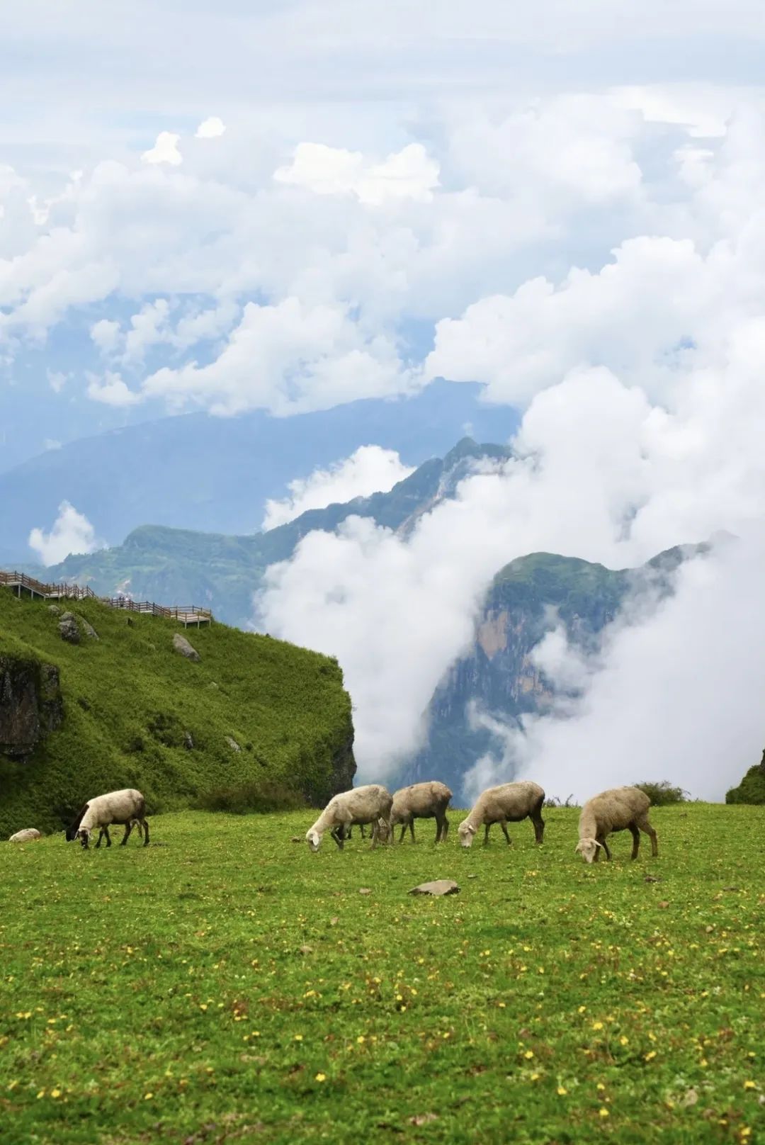 昭通大山包一览众山,昭通市昭阳区大山包乡