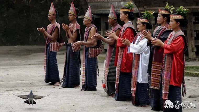 云南虫谷灵异故事,云南虫谷中的十大怪物