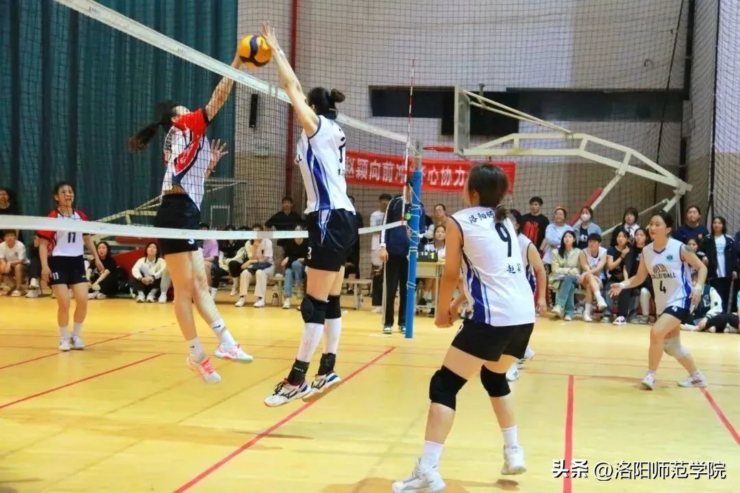 欢迎报考！选择洛师的N个理由