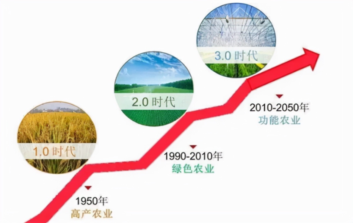 涓織涓拌胺鍐滀笟绉戞妧鏈夐檺鍏徃,娌冲寳涓織涓拌胺绉戞妧鏈夐檺鍏徃
