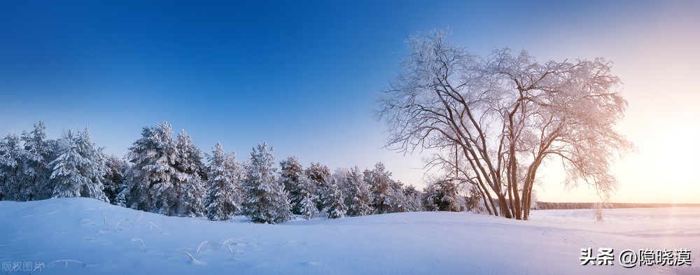 绝美古诗词描绘的雪景你见过几篇,带有古诗描写雪景的唯美句子