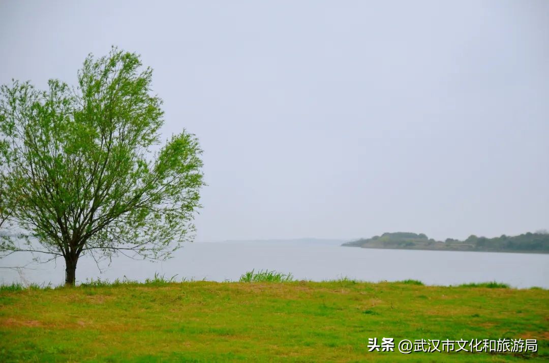 中秋露营赏月美文,中秋赏月全攻略