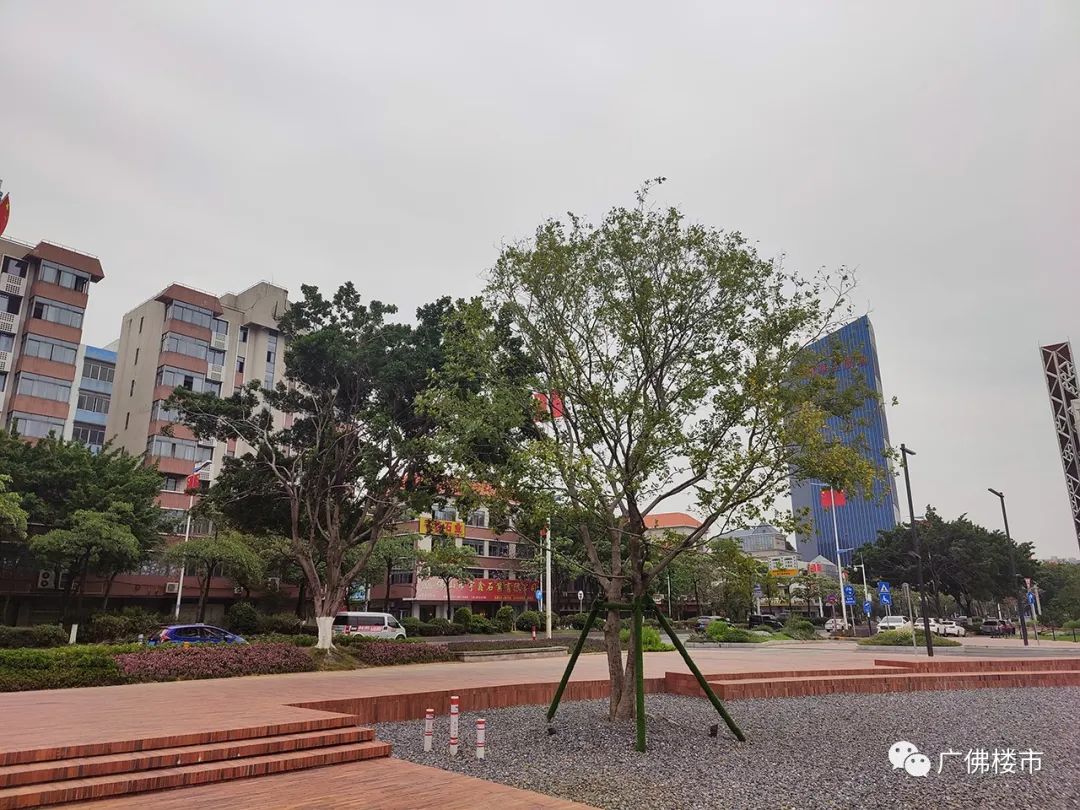 灯湖北延：贴地飞行、佛系养生、烂尾重组？投资客都看好这里？