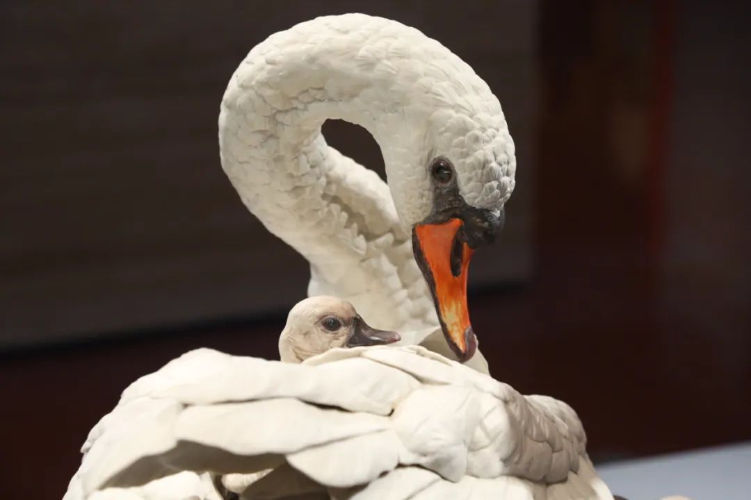 命运原来是水乳：毛主席收过的这些“礼品”