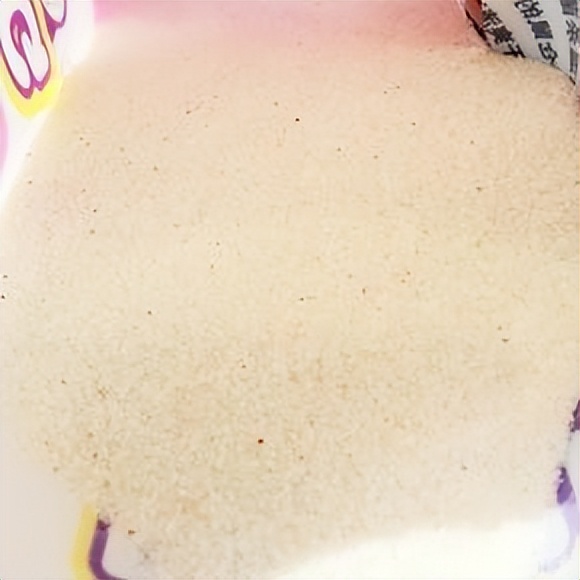 养龙猫的坏处哪些人不适合养龙猫,咋养龙猫