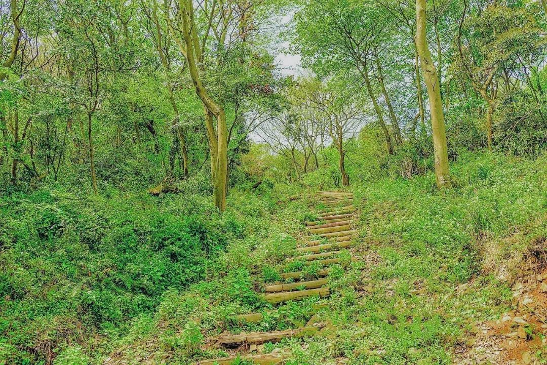 浙江十大徒步古道图片,浙皖十大古道景点介绍图