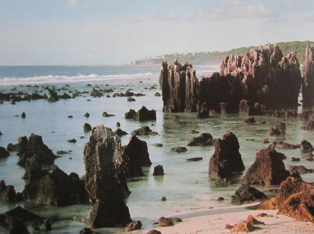 魔幻岛国瑙鲁：靠卖鸟粪致富，政府分配别墅豪车，岛民寿命却不长