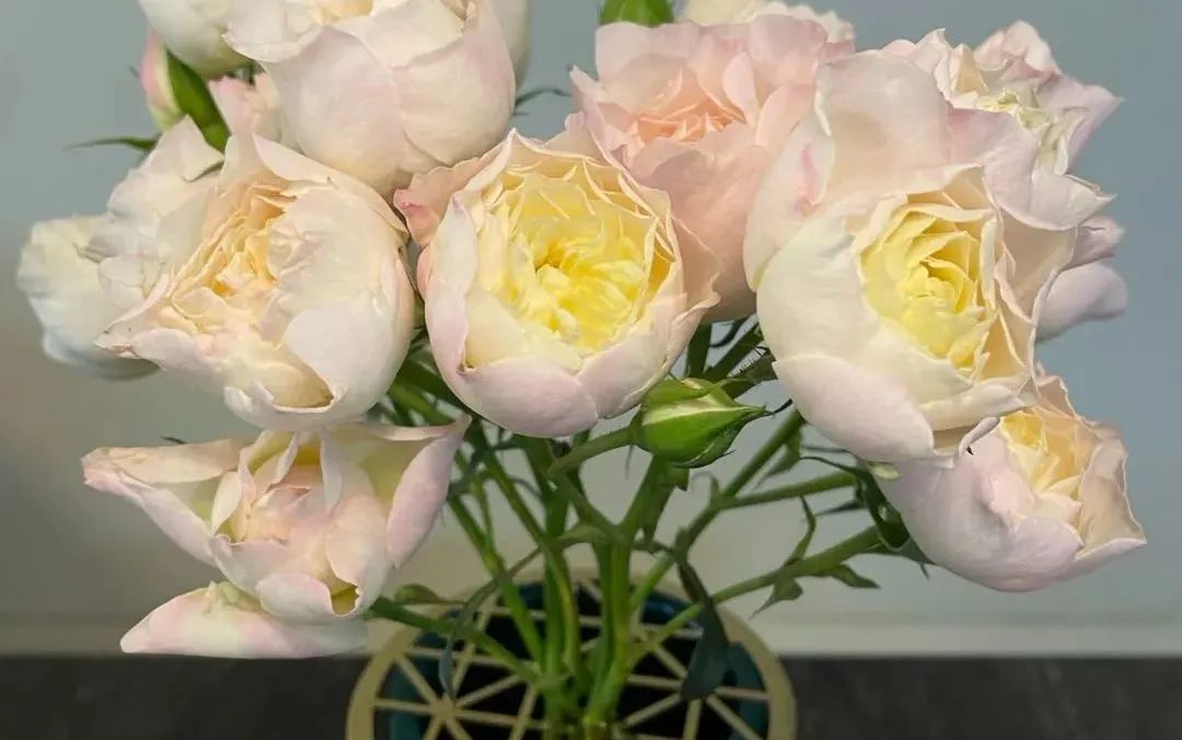 新手必看鲜花养护攻略,鲜花在水里能养几天会死