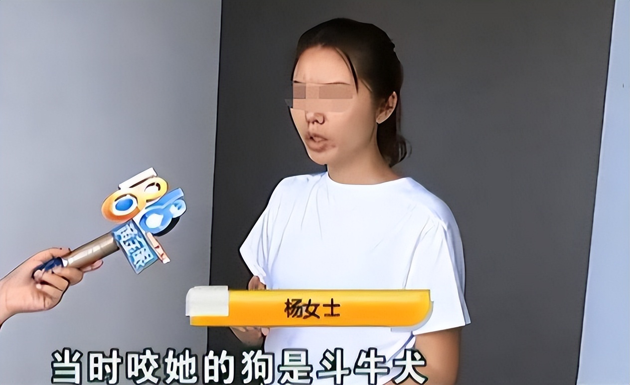 回顾杭州母女被4只烈性犬咬至休克，狗主人叫嚣：有本事你告我啊