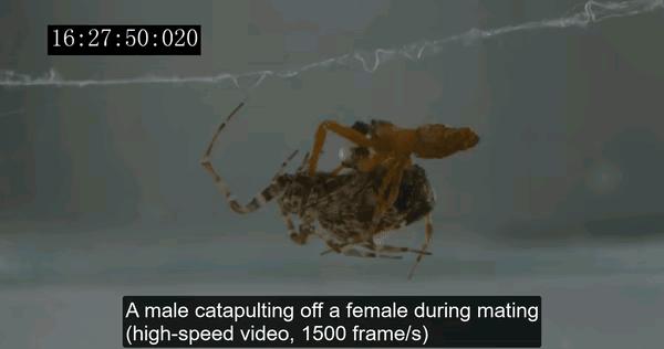 海底知识大全关于动物和植物,我们了解到了很多动物的知识