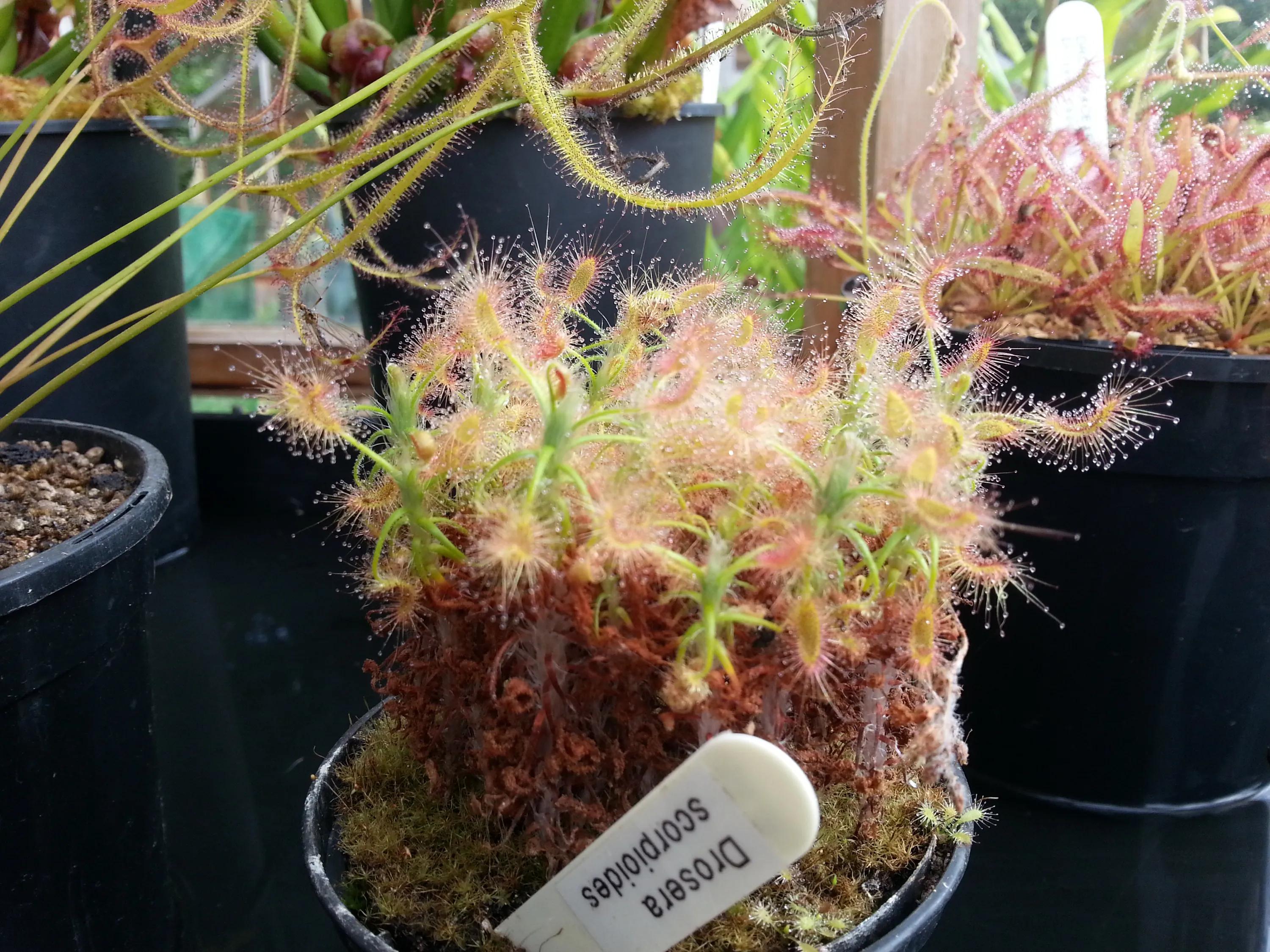 英国伯明翰留学,英国之旅伯明翰